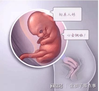 男性因素案例